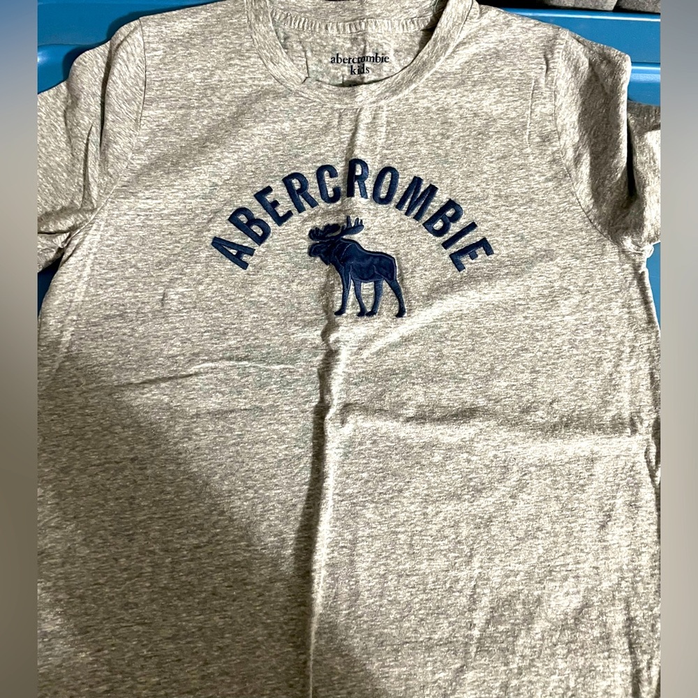 Abercrombie Kids Boy’s Short Sleeve T-shirt, Gray, size 13/14